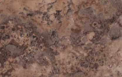 Ponder 16’X10’ Ultracloth (192 X 120 Inch) Backdrop