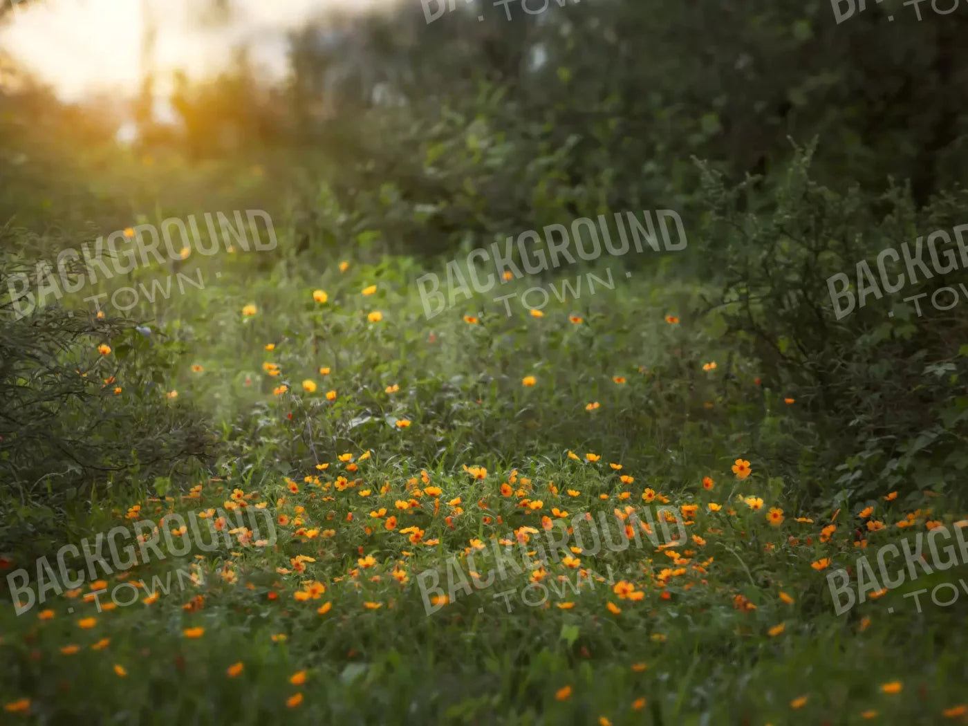 Poppy Forest 10X8 Fleece ( 120 X 96 Inch ) Backdrop