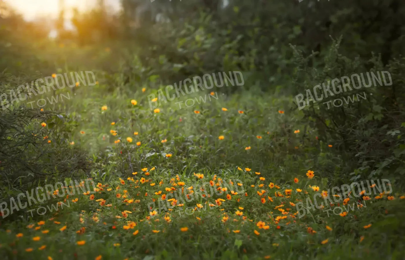 Poppy Forest 12X8 Ultracloth ( 144 X 96 Inch ) Backdrop