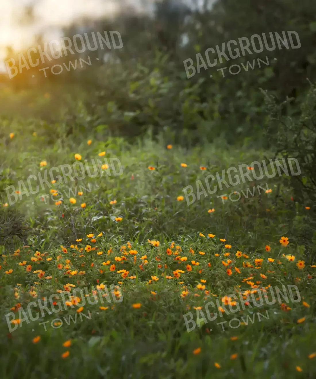 Misty Green Meadow with Orange Flowers Backdrop for Photography