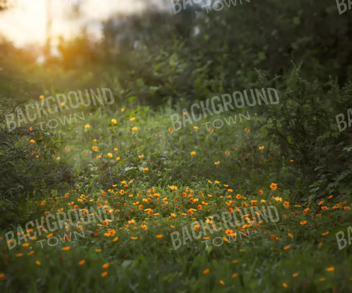 Poppy Forest 5X42 Fleece ( 60 X 50 Inch ) Backdrop