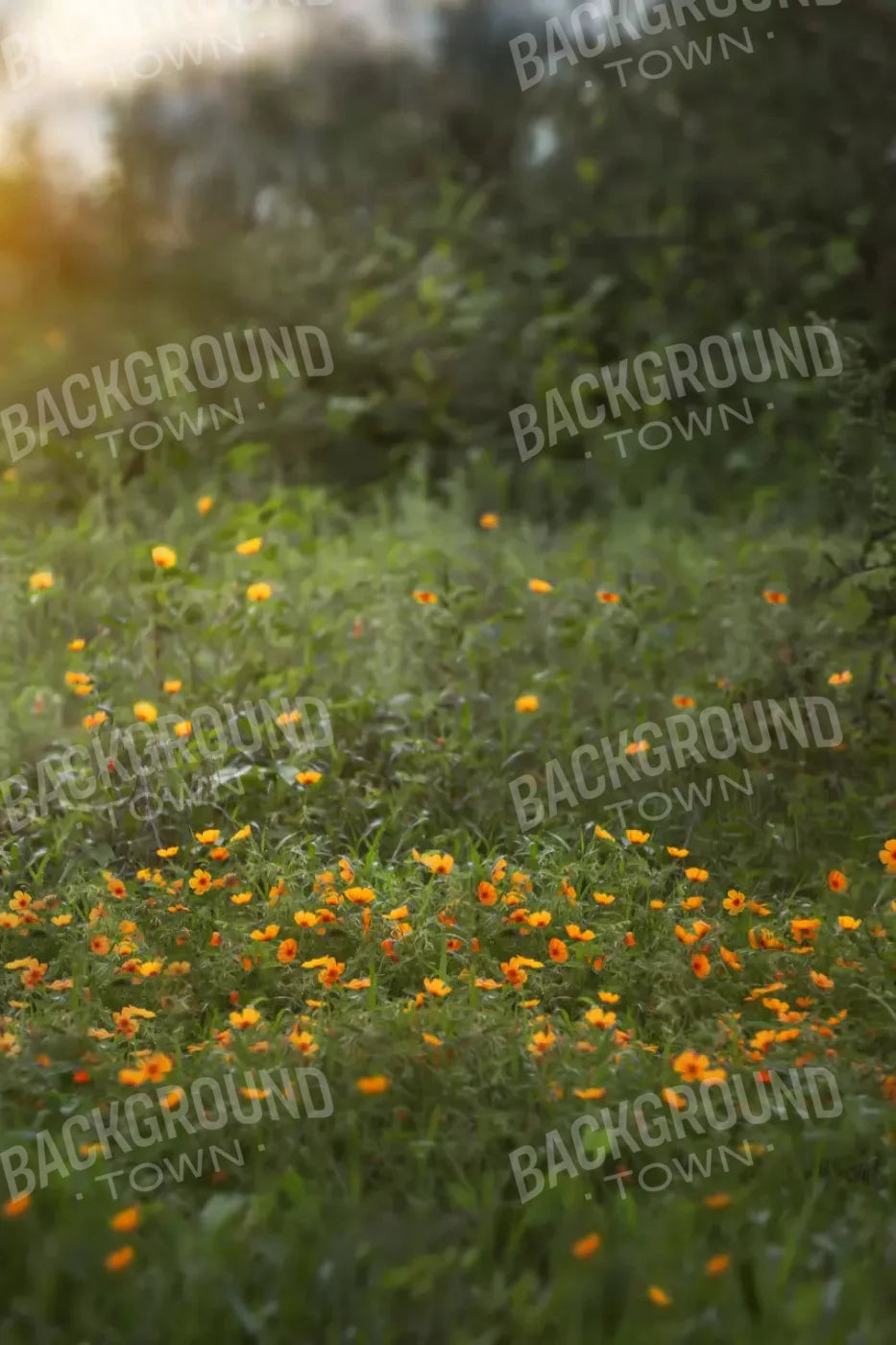 Poppy Forest 5X8 Ultracloth ( 60 X 96 Inch ) Backdrop