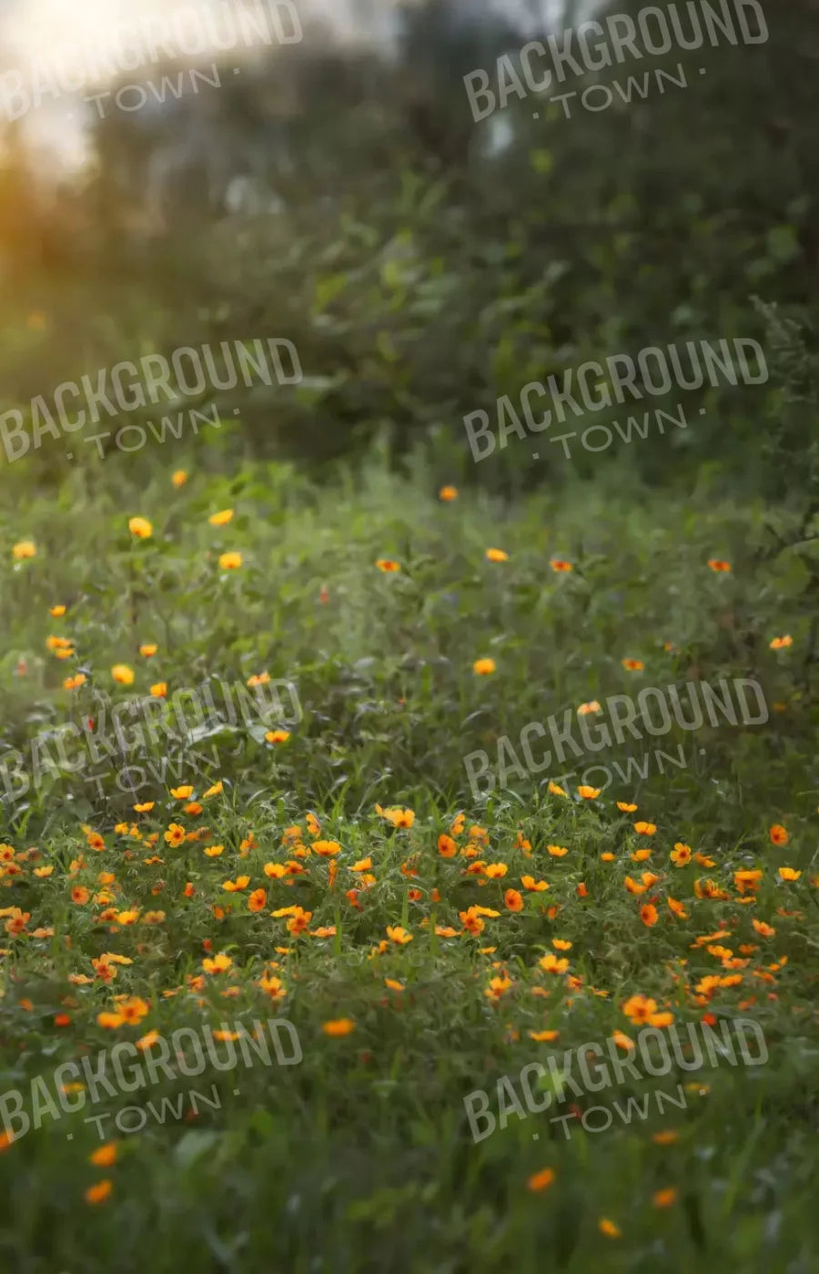 Poppy Forest 8X12 Ultracloth ( 96 X 144 Inch ) Backdrop