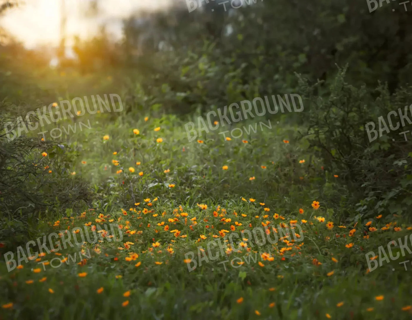 Poppy Forest 8X6 Fleece ( 96 X 72 Inch ) Backdrop