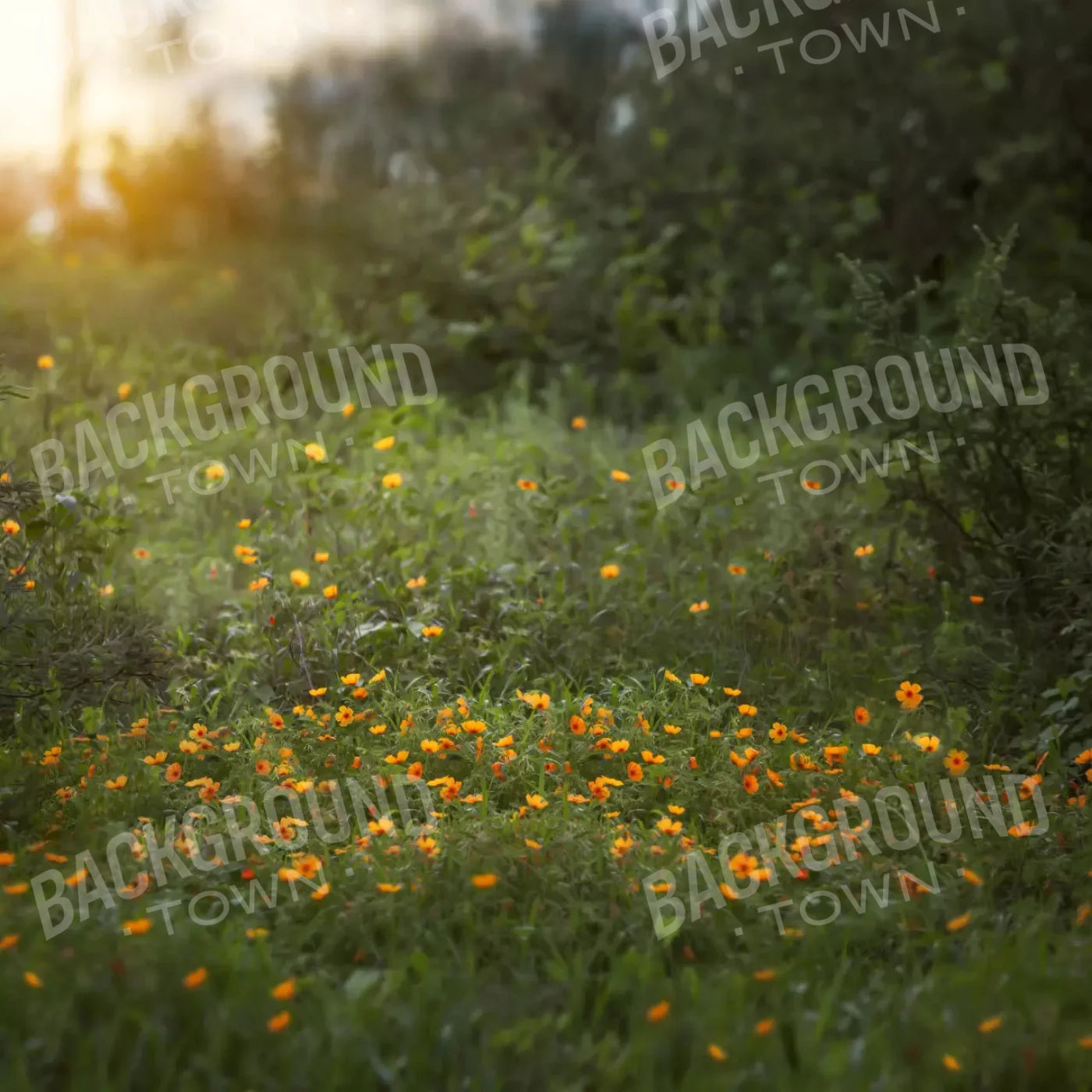 Poppy Forest 8X8 Fleece ( 96 X Inch ) Backdrop