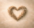 Beige Newborn Backdrop for Photography
