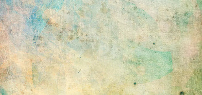 Prism 16’X8’ Ultracloth (192 X 96 Inch) Backdrop