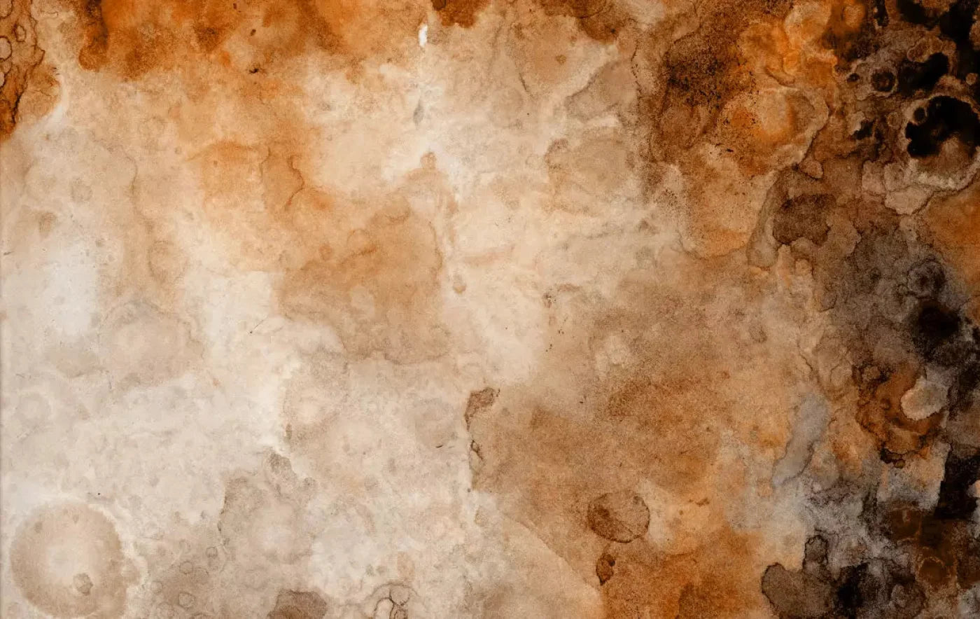 Prompt 16X10 Ultracloth ( 192 X 120 Inch ) Backdrop