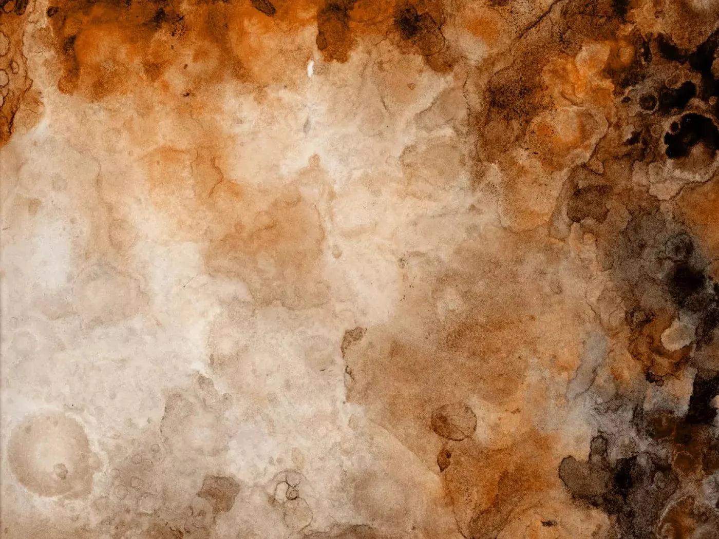 Prompt 68X5 Fleece ( 80 X 60 Inch ) Backdrop