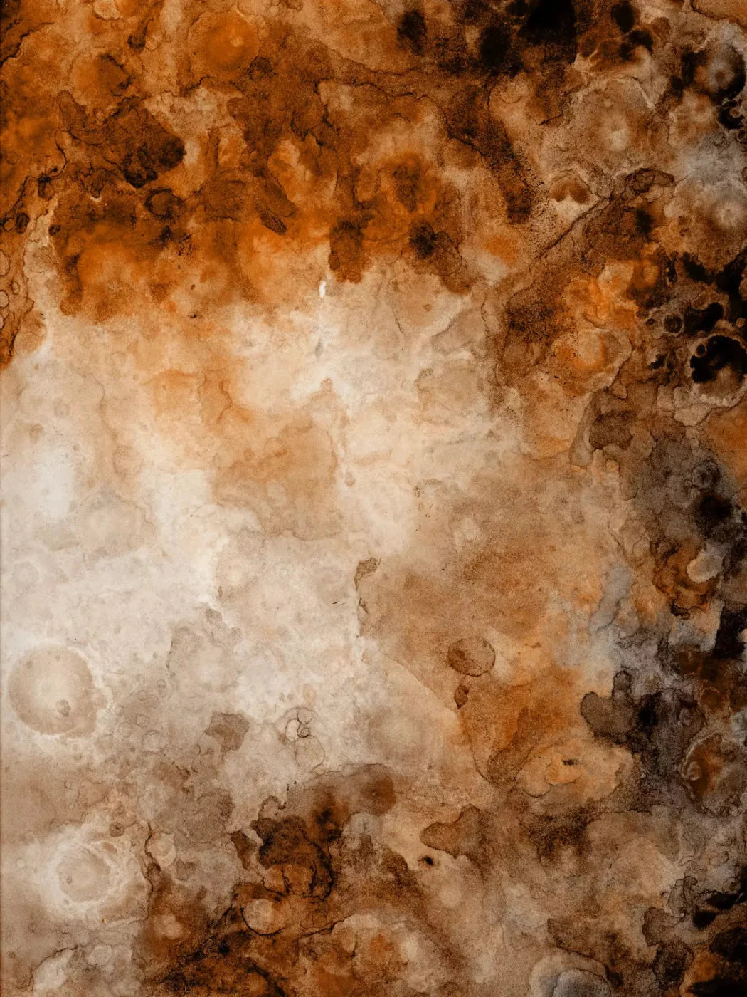 Prompt 8X10 Fleece ( 96 X 120 Inch ) Backdrop