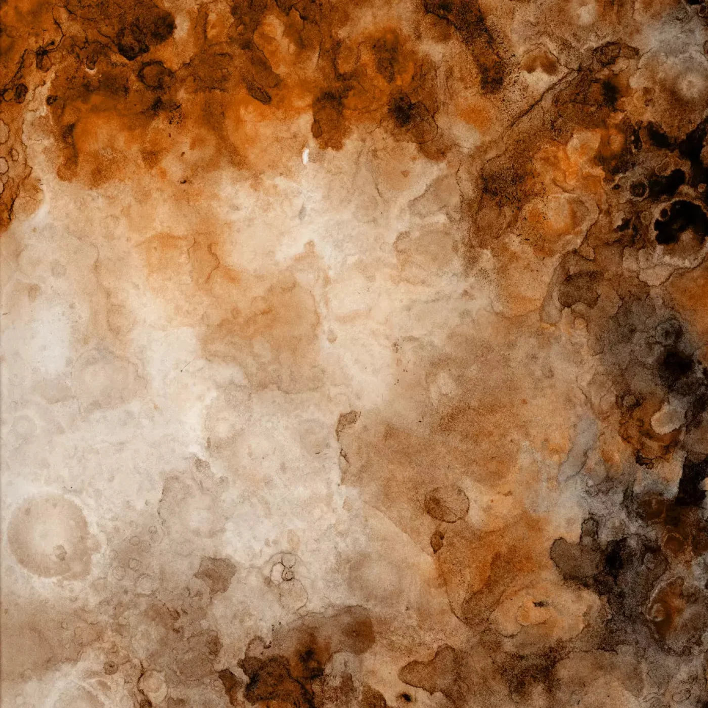 Prompt Backdrop