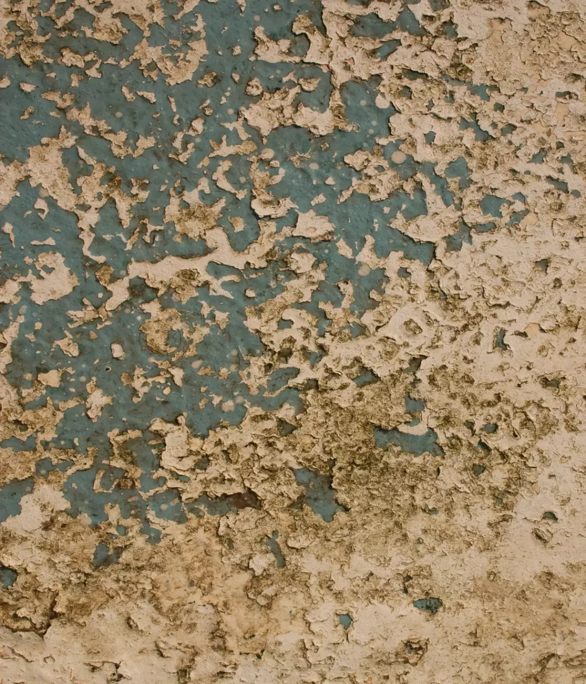 Property 10X12 Ultracloth ( 120 X 144 Inch ) Backdrop