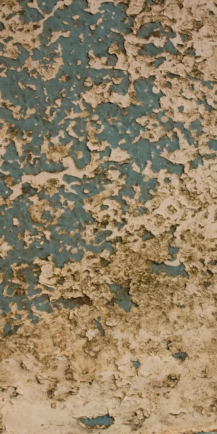 Property 10X20 Ultracloth ( 120 X 240 Inch ) Backdrop