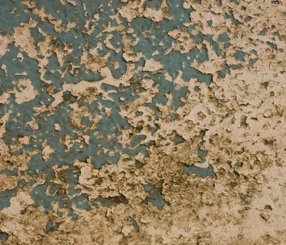 Property 12X10 Ultracloth ( 144 X 120 Inch ) Backdrop