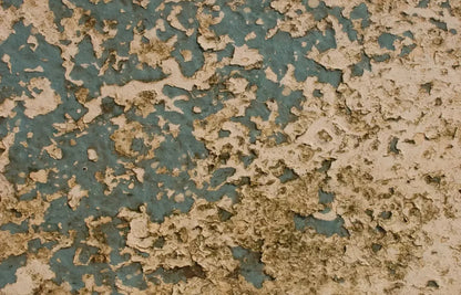 Property 12X8 Ultracloth ( 144 X 96 Inch ) Backdrop