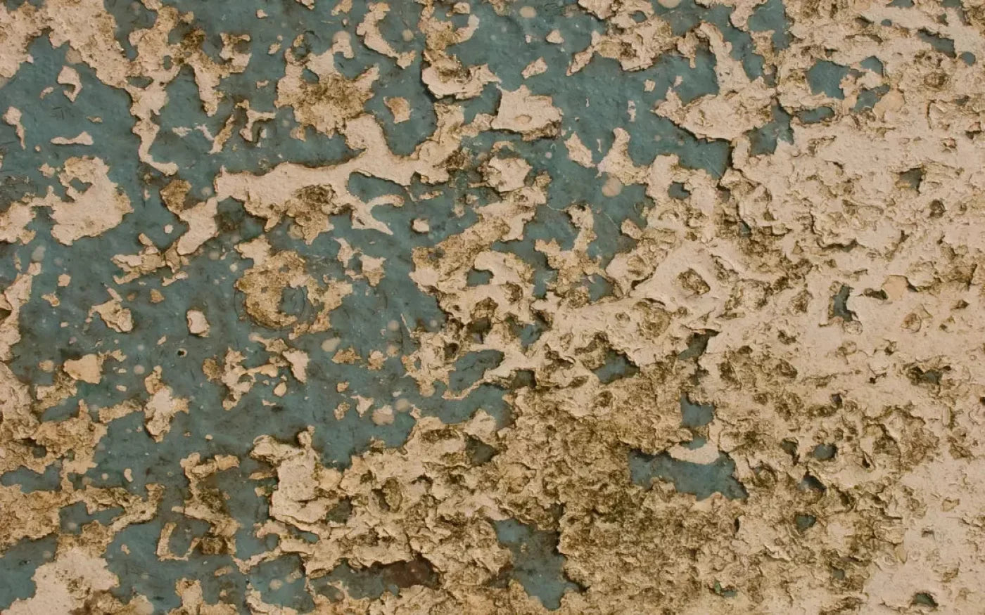 Property 14X9 Ultracloth ( 168 X 108 Inch ) Backdrop