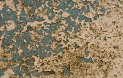 Property 16X10 Ultracloth ( 192 X 120 Inch ) Backdrop