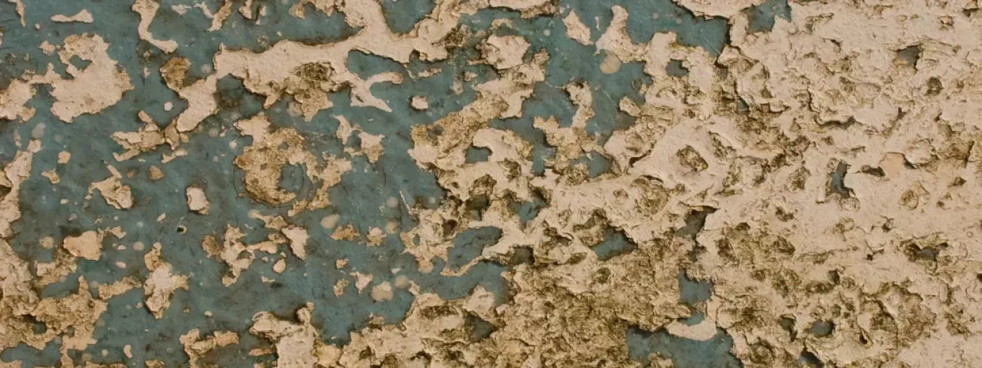 Property 20X8 Ultracloth ( 240 X 96 Inch ) Backdrop