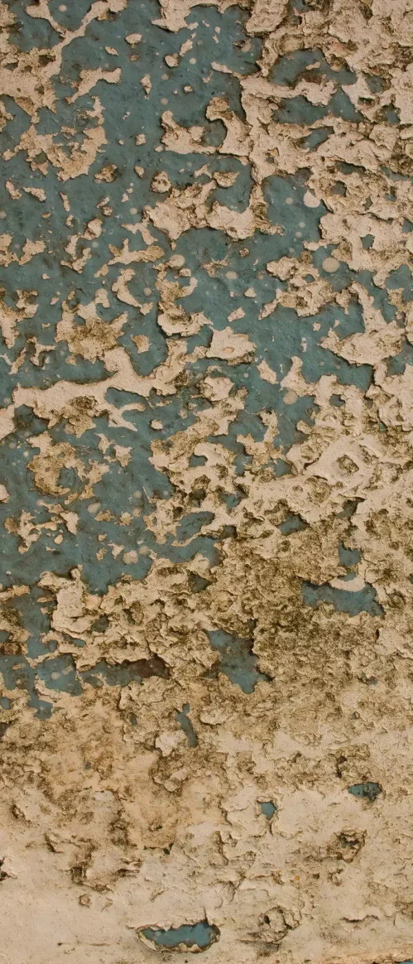 Property 5X12 Ultracloth For Westcott X-Drop ( 60 X 144 Inch ) Backdrop