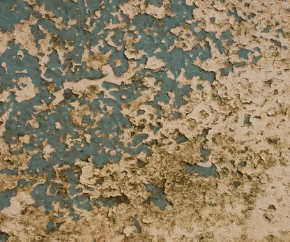 Property 5X42 Fleece ( 60 X 50 Inch ) Backdrop