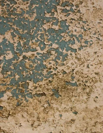 Property 6X8 Fleece ( 72 X 96 Inch ) Backdrop