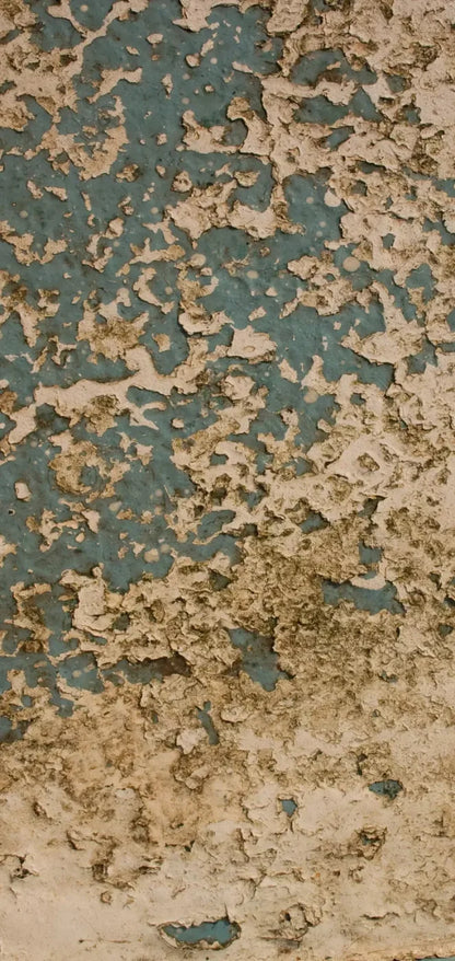 Property 8X16 Ultracloth ( 96 X 192 Inch ) Backdrop