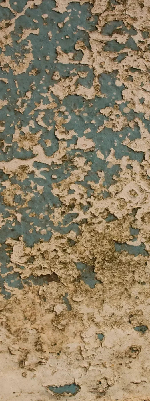 Property 8X20 Ultracloth ( 96 X 240 Inch ) Backdrop