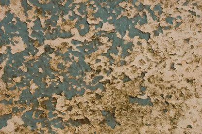 Property 8X5 Ultracloth ( 96 X 60 Inch ) Backdrop