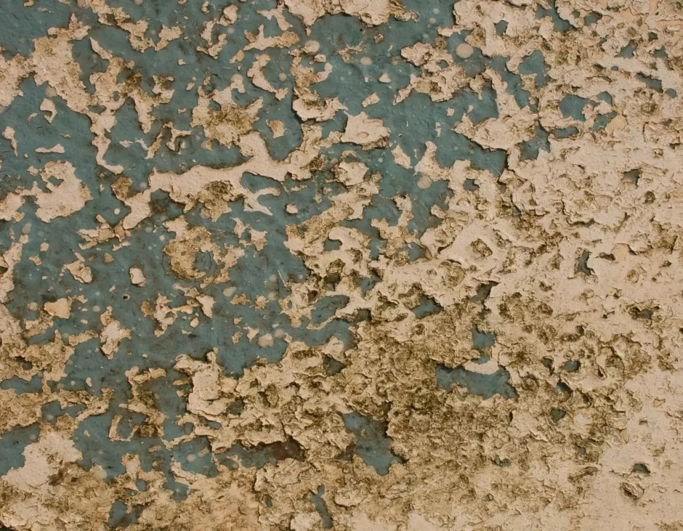 Property 8X6 Fleece ( 96 X 72 Inch ) Backdrop