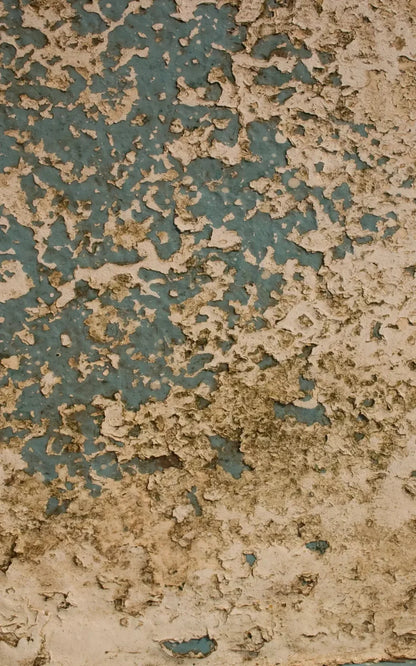 Property 9X14 Ultracloth ( 108 X 168 Inch ) Backdrop