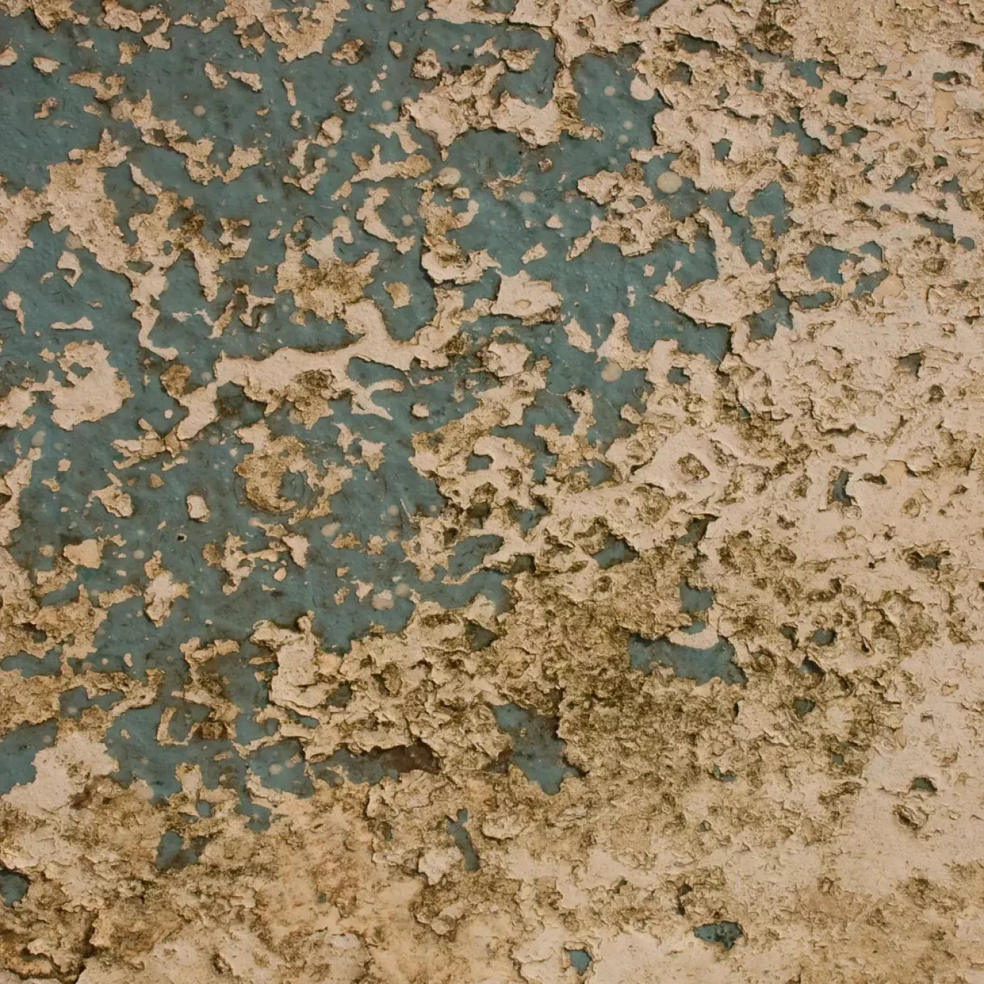 Property 5X5 Rubbermat Floor ( 60 X Inch ) Backdrop