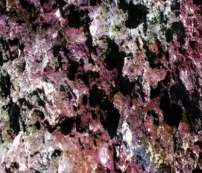 Provoke 12X10 Ultracloth ( 144 X 120 Inch ) Backdrop