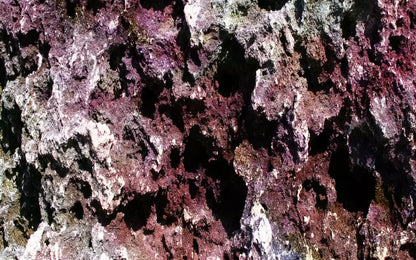 Provoke 14X9 Ultracloth ( 168 X 108 Inch ) Backdrop