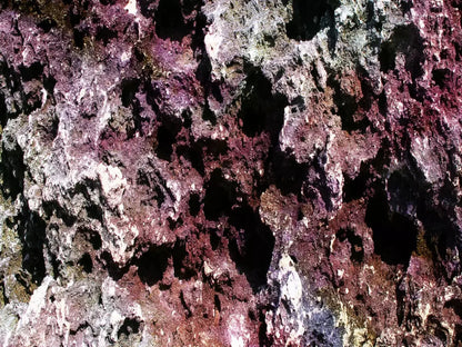 Provoke 68X5 Fleece ( 80 X 60 Inch ) Backdrop