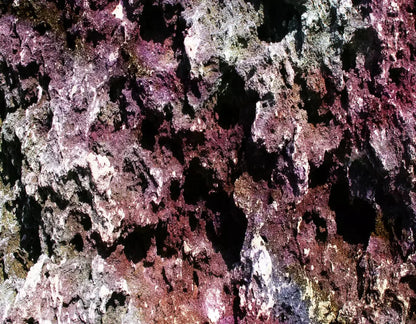 Provoke 8X6 Fleece ( 96 X 72 Inch ) Backdrop