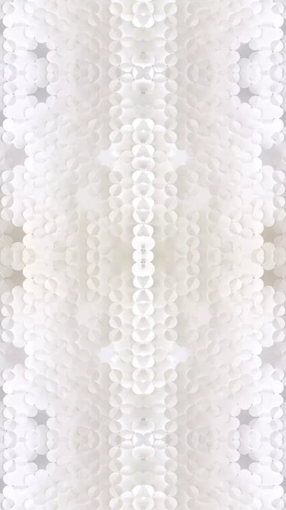 Pucker 8X14 Ultracloth ( 96 X 168 Inch ) Backdrop