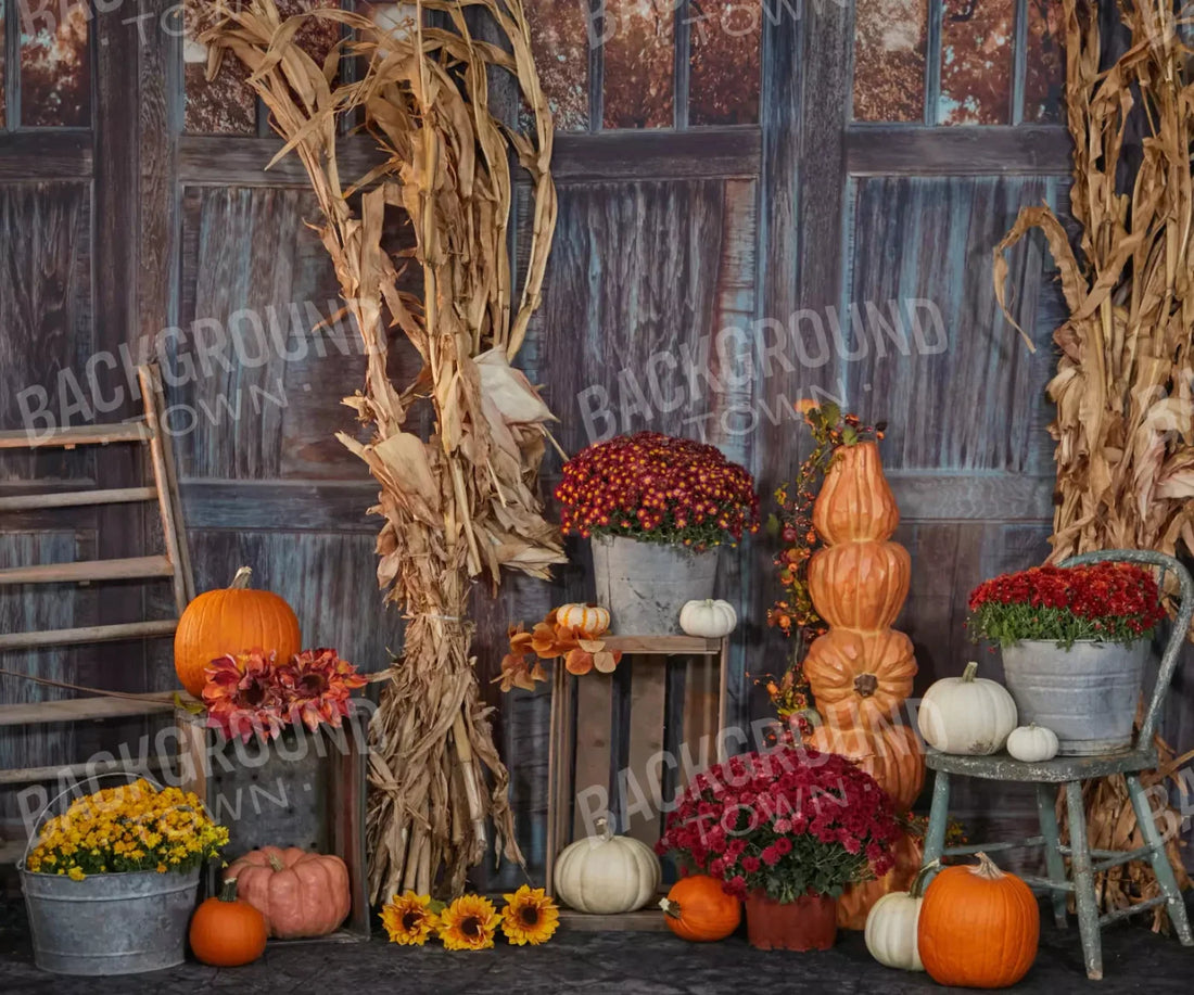 Pumpkin Patch 5X42 Fleece ( 60 X 50 Inch ) Backdrop