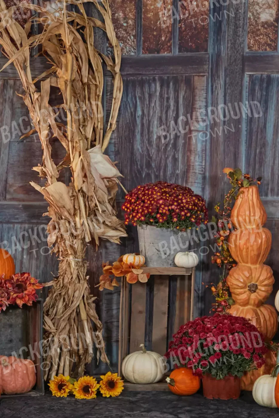 Pumpkin Patch For Lvl Up Backdrop System 5X76 Up ( 60 X 90 Inch )