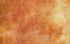 Pumpkin 16X10 Ultracloth ( 192 X 120 Inch ) Backdrop