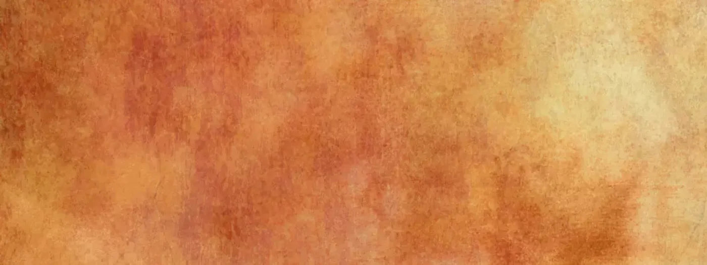 Pumpkin 20X8 Ultracloth ( 240 X 96 Inch ) Backdrop