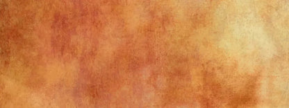 Pumpkin 20X8 Ultracloth ( 240 X 96 Inch ) Backdrop