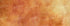 Pumpkin 20X8 Ultracloth ( 240 X 96 Inch ) Backdrop