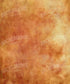Orange Autumn Backdrop for Photography