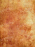 Pumpkin 5X68 Fleece ( 60 X 80 Inch ) Backdrop