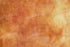 Pumpkin 8X5 Ultracloth ( 96 X 60 Inch ) Backdrop
