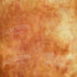 Pumpkin 8X8 Fleece ( 96 X Inch ) Backdrop