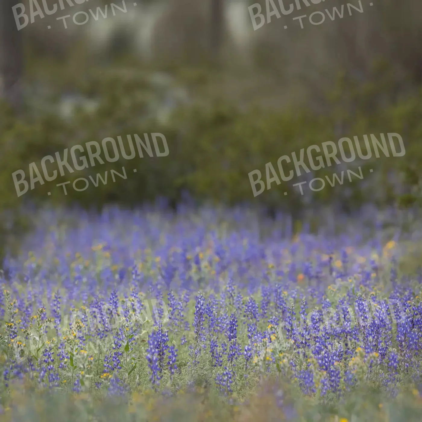 Purple Lupine 10X10 Ultracloth ( 120 X Inch ) Backdrop