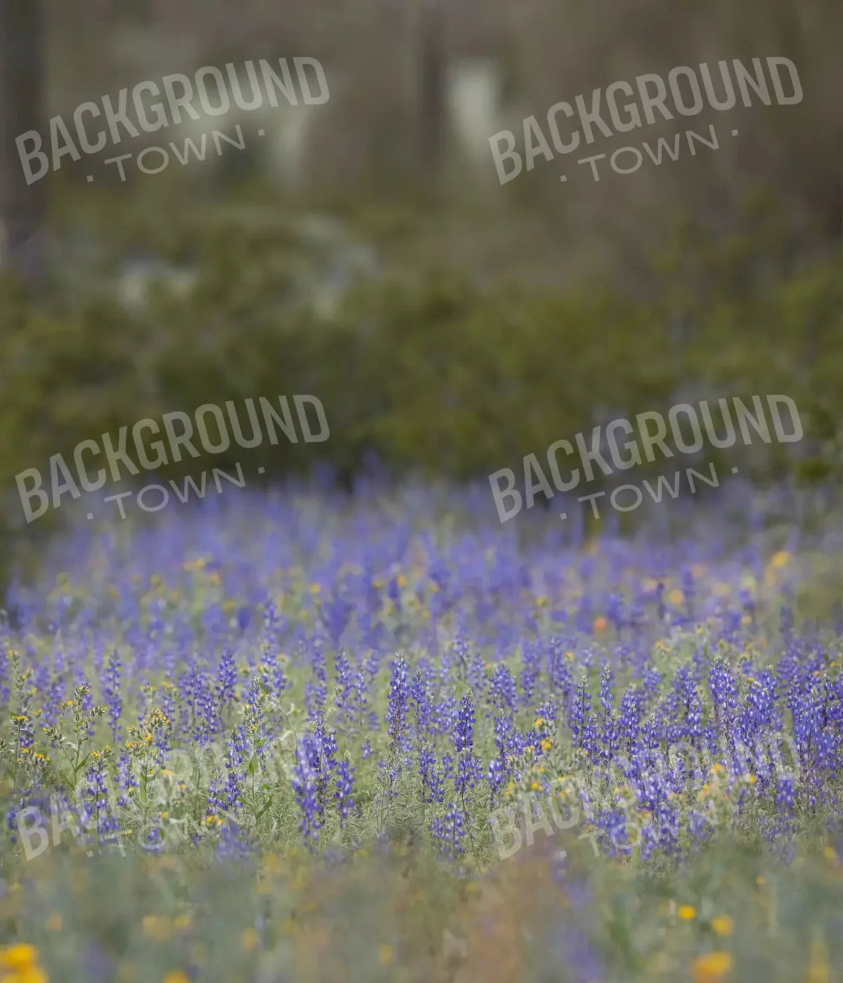 Purple Lupine 10X12 Ultracloth ( 120 X 144 Inch ) Backdrop