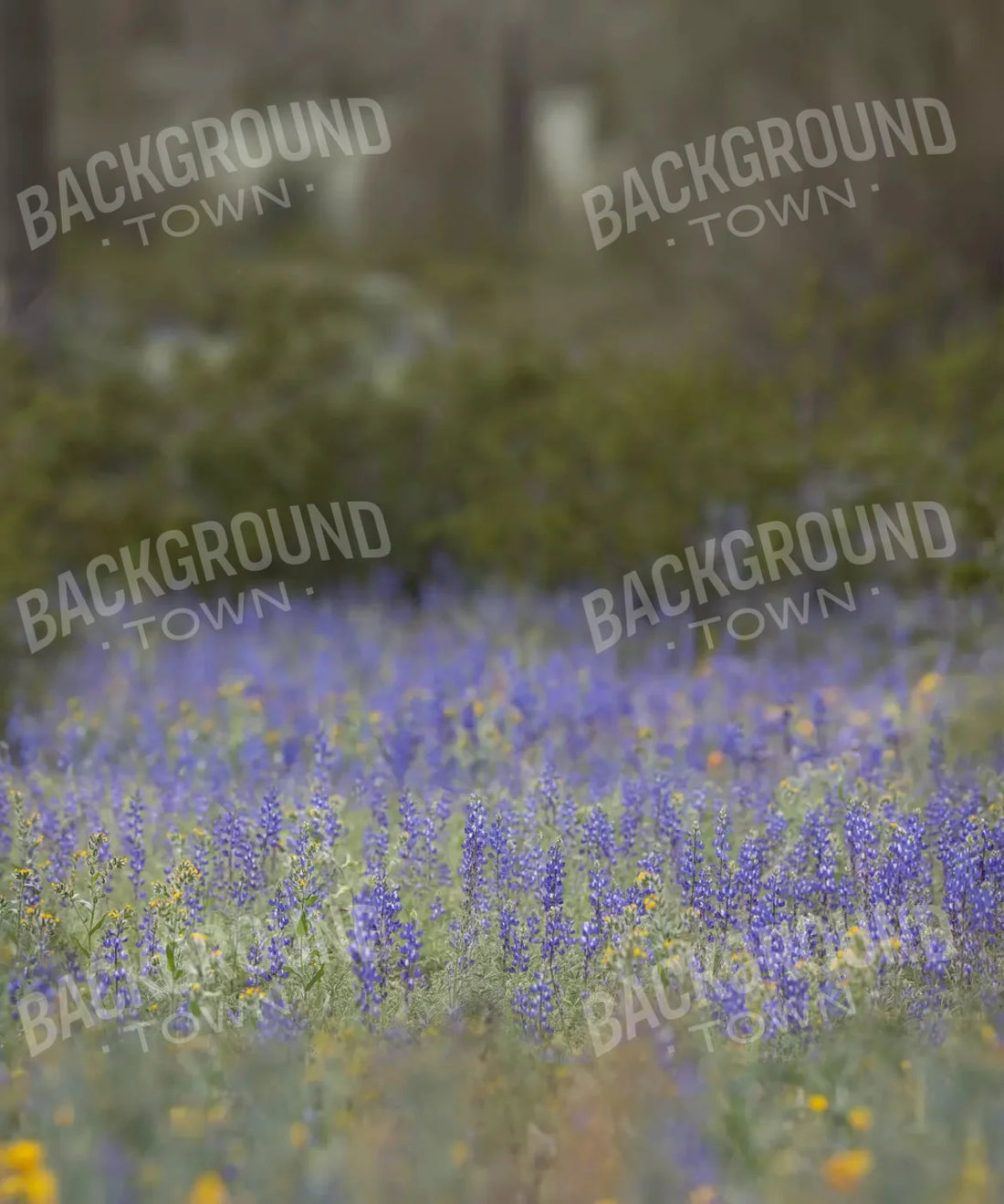 Green Field of Purple Flowers Backdrop for Photography