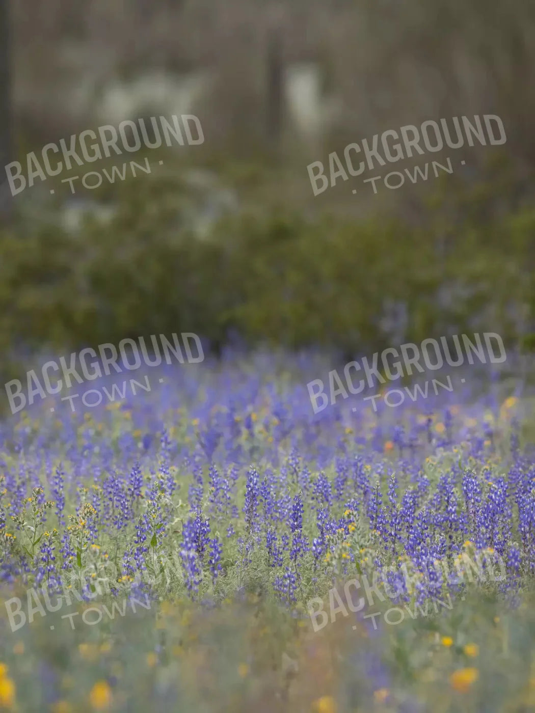 Purple Lupine 5X7 Ultracloth ( 60 X 84 Inch ) Backdrop